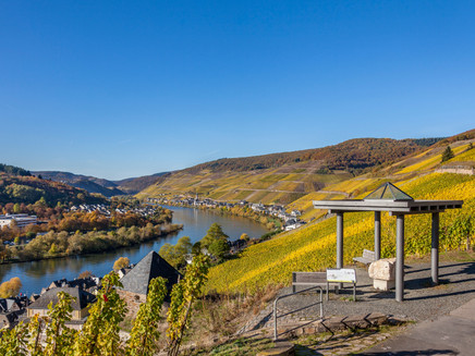 sunny viewpoint on the